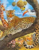 Leopard Pu... -  Książka z wysyłką do Niemiec 