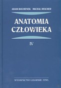 Polska książka : Anatomia c... - Adam Bochenek, Michał Reicher