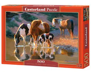 Obrazek PuzzleNight Cap 500
