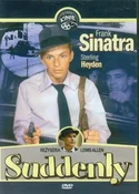 Suddenly - Sale Richard -  fremdsprachige bücher polnisch 