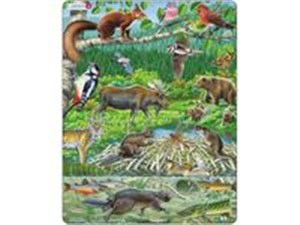 Bild von Las nordycki