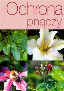 Bild von Ochrona pnączy