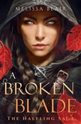 Polnische buch : A Broken B... - Melissa Blair