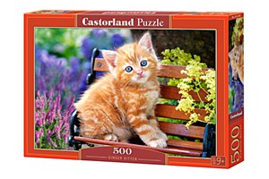Obrazek Puzzle Ginger Kitten 500