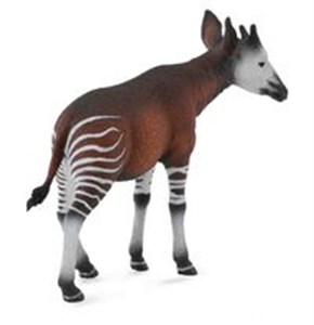 Bild von Okapi L