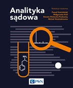 Analityka ... - Paweł Kościelniak, Renata Wietecha-Posłuszny, Małgorzata Król, Michał Woźniakiewicz -  polnische Bücher