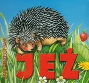 Jeż - Jan Brzechwa -  Książka z wysyłką do Niemiec 