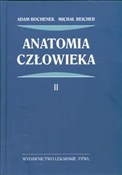 Polska książka : Anatomia c... - Adam Bochenek, Michał Reicher