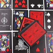 Karty Reve... -  polnische Bücher