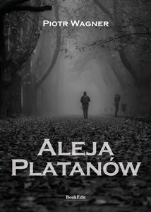 Bild von Aleja Platanów