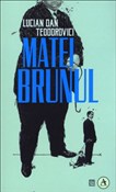 Matei Brun... - Lucian Dan Teodorovici -  fremdsprachige bücher polnisch 