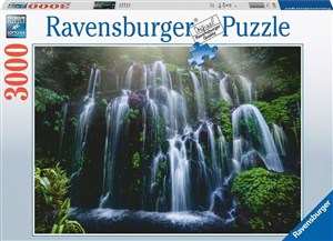 Bild von Puzzle 2D 3000 Wodospady 17116