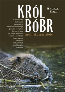 Bild von Król bóbr Architekt przyszłości