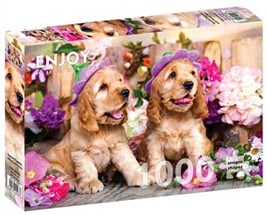 Bild von Puzzle 1000 Szczenięta rasy Cocker Spaniel
