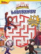 Labirynty.... - Anna Bańkowska-Lach (tłum.) -  Polnische Buchandlung 