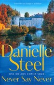 Never Say ... - Danielle Steel -  fremdsprachige bücher polnisch 
