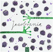 Polska książka : Jeżobranie... - Katarzyna Zych