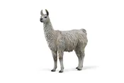 Polnische buch : Lama