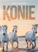 Polnische buch : Konie Albu... - Karolina Wengerek