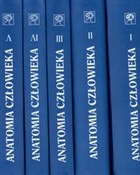 Zobacz : Anatomia c... - Adam Bochenek, Michał Reicher