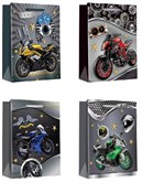 Książka : Torebki pr...