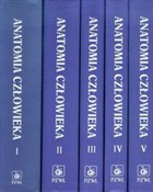 Książka : Anatomia c... - Adam Bochenek, Michał Reicher