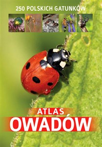 Bild von Atlas owadów 250 polskich gatunków