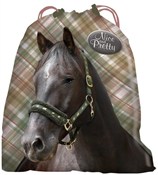 Polska książka : Worek na b...