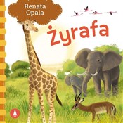 Książka : Żyrafa - Renata Opala