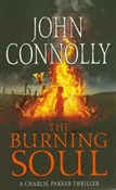 Burning So... - John Connolly -  fremdsprachige bücher polnisch 