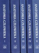 Anatomia c... - Adam Bochenek, Michał Reicher -  Polnische Buchandlung 