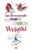 Zobacz : Wyjątki - Jan Brzozowski