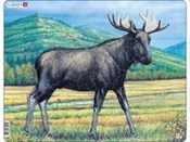 Łoś -  polnische Bücher