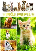 Polnische buch : Mój pupil - Markiewicz Piotr