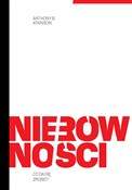 Polnische buch : Nierównośc... - Anthony B. Atkinson