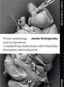 Bild von Thorax morphology and its importance...
