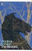 Polnische buch : The Blizza... - Vladimir Sorokin