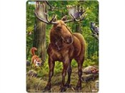 Polnische buch : Łoś