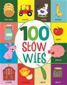 100 słów. ... - Ksiegarnia w niemczech