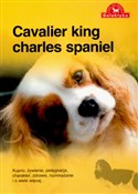 Zobacz : Cavalier K... - Opracowanie Zbiorowe