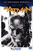 Batman Vol... - Tom King, David Finch -  Polnische Buchandlung 