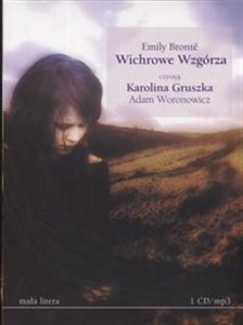 Obrazek [Audiobook] Wichrowe Wzgórza