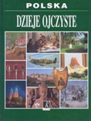 Dzieje ojc... - Stanisław Kołodziejski, Roman Marcinek, Jakub Polit - buch auf polnisch 