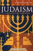 A Brief Gu... - Naftali Brawer -  fremdsprachige bücher polnisch 