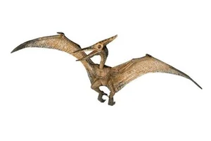 Obrazek Pteranodon