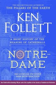 Bild von Notre-Dame A Short History of the Meaning of Cathedrals