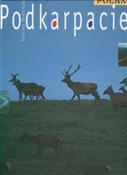 Polnische buch : Podkarpaci... - Tadeusz Budziński