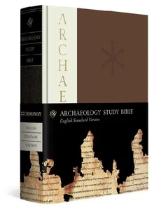 Obrazek archeology study bible