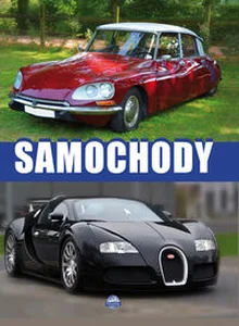Obrazek Samochody