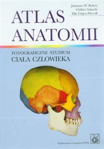 Bild von Atlas anatomii + tablice Fotograficzne studium ciała człowieka